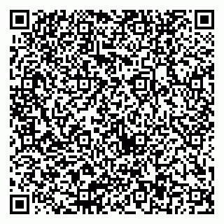 vCard 79300907361