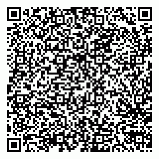 vCard 79300907376