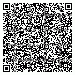 vCard 79300908001