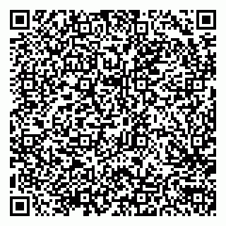 vCard 79300908085