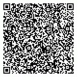 vCard 79300908275