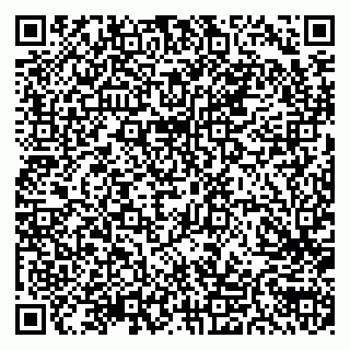 vCard 79300908284