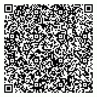 vCard 79300908303