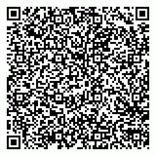 vCard 79300908312