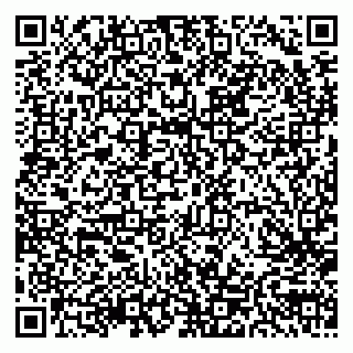 vCard 79300908389