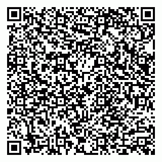 vCard 79300909687