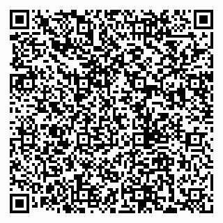vCard 79300909721