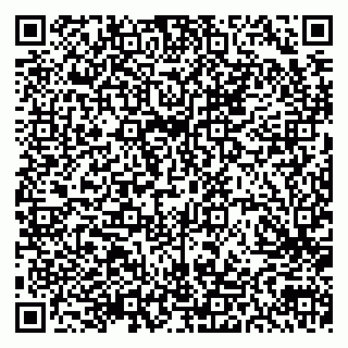 vCard 79300909745