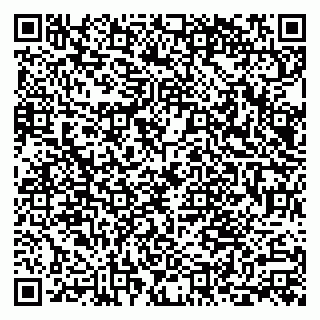 vCard 79300909939