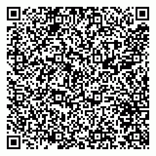 vCard 79300960008