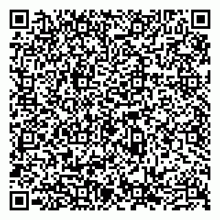 vCard 79300960018