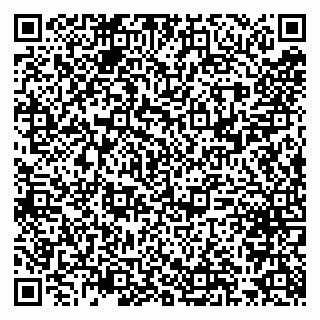 vCard 79300960023