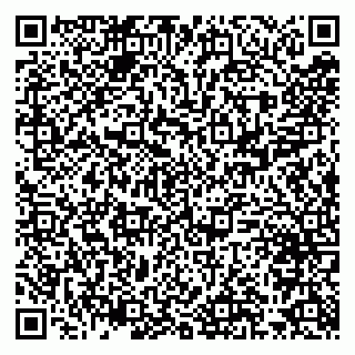 vCard 79300960031