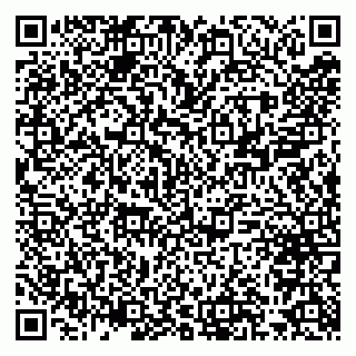 vCard 79300960070