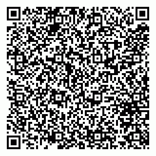 vCard 79300960073