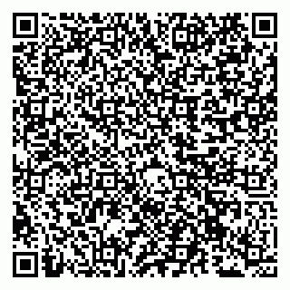 vCard 79300960077