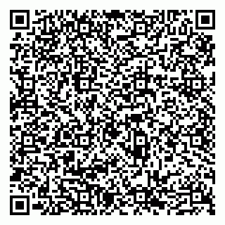 vCard 79300960095