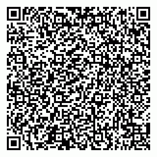 vCard 79300960109