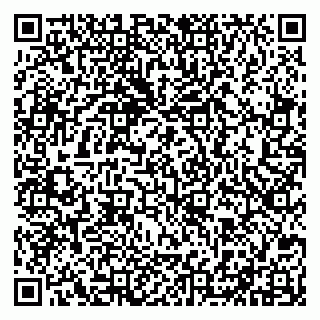 vCard 79300960111