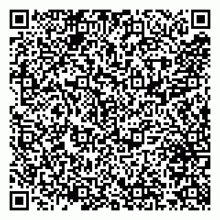 vCard 79300960141