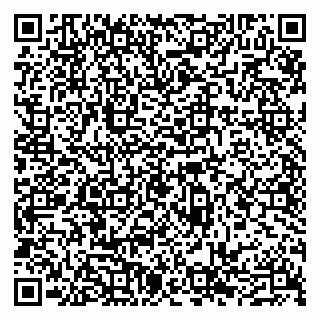 vCard 79300960209