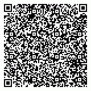vCard 79300960224