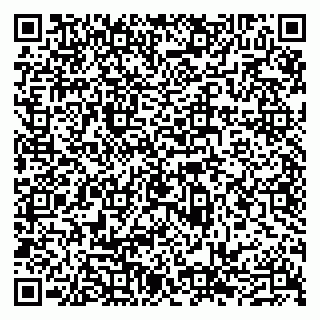 vCard 79300960251
