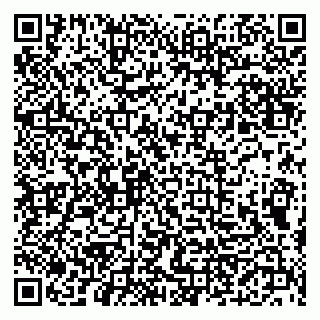 vCard 79300960270