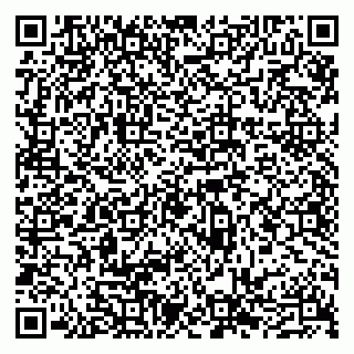 vCard 79300960272