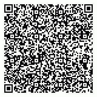 vCard 79300960284