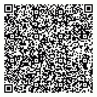 vCard 79300960298