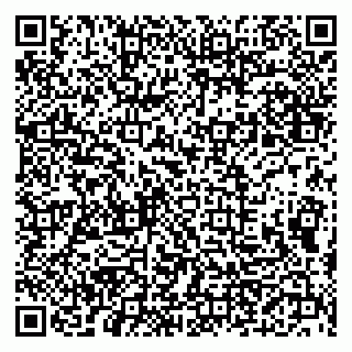 vCard 79300960309