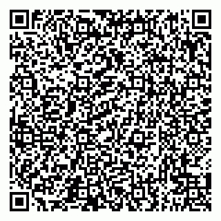 vCard 79300960311