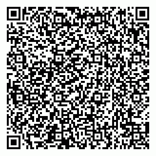 vCard 79300960312