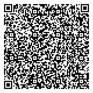 vCard 79300960317