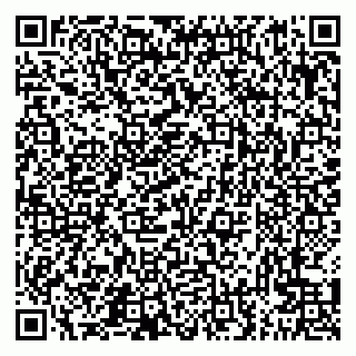 vCard 79300960323