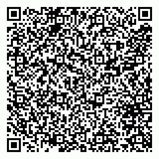 vCard 79300960370