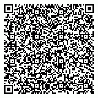 vCard 79300960389