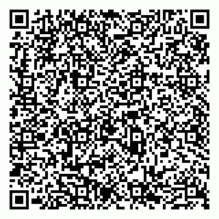 vCard 79300960398