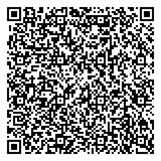 vCard 79301000739