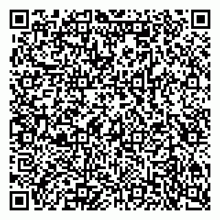 vCard 79301001539