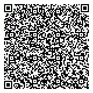vCard 79301004132