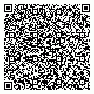 vCard 79301004992