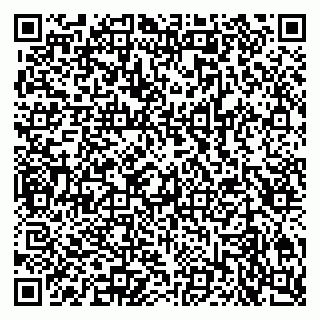 vCard 79301005229