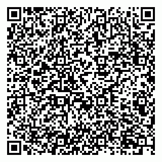 vCard 79301005273