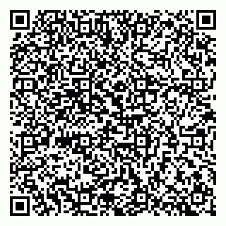 vCard 79301005294