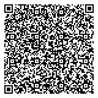 vCard 79301005331