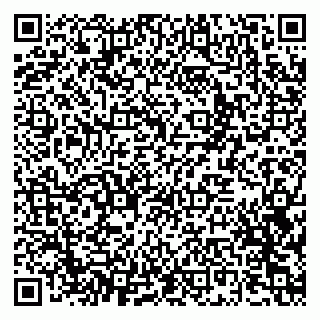 vCard 79301005333