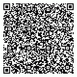 vCard 79301008331