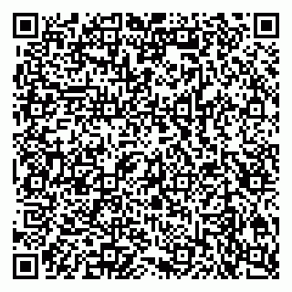 vCard 79301010029